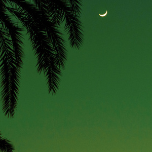 成人❌❌❌免费🔞泡妞
